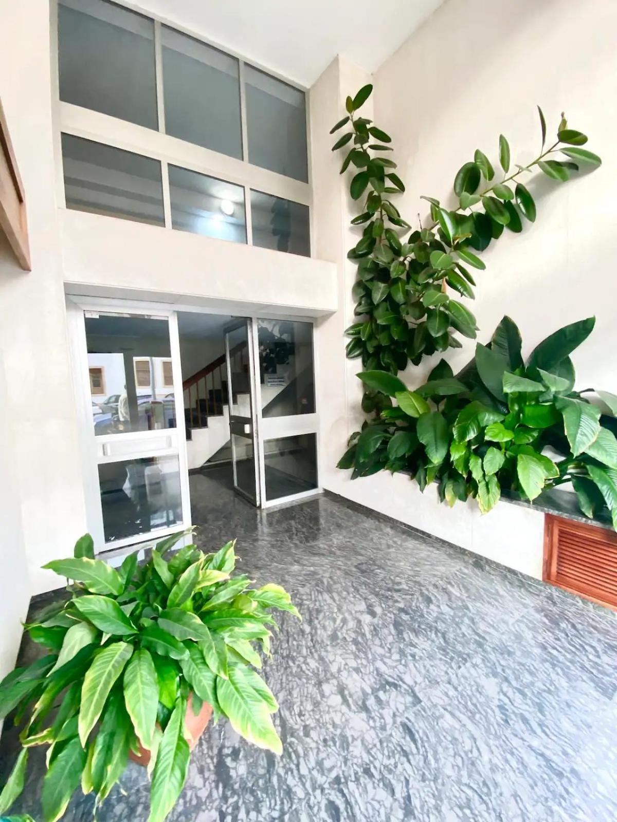 Nice Central Flat With Wonderful Views 科爾多瓦 外观 照片